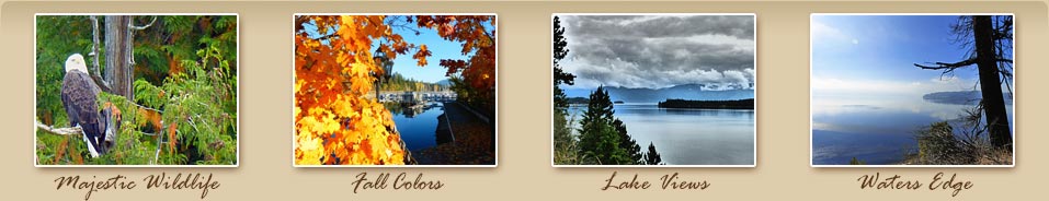 Sandpoint, Idaho has Majestic Wildlife, Fall Colors, Lake Views and beautiful Lake Pend Oreille Waters Edge